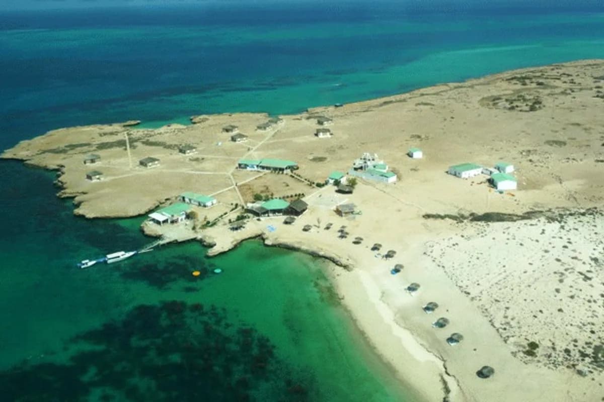 Cibutidə Moucha adası
