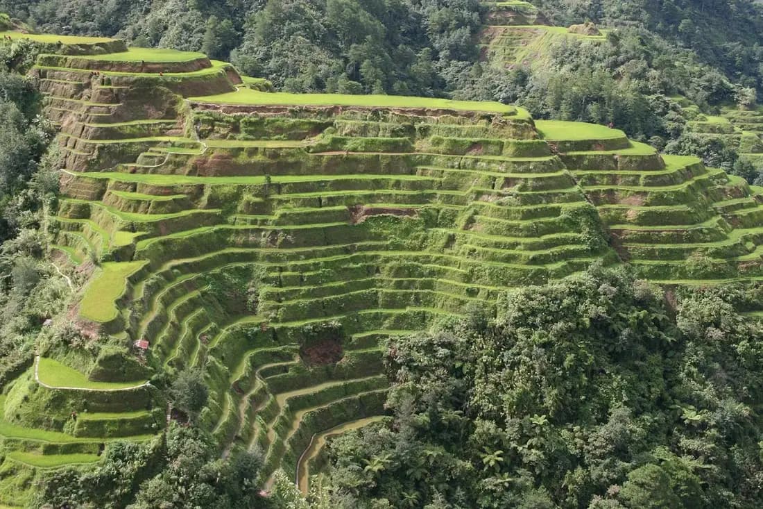 Banaue düyü terasları
