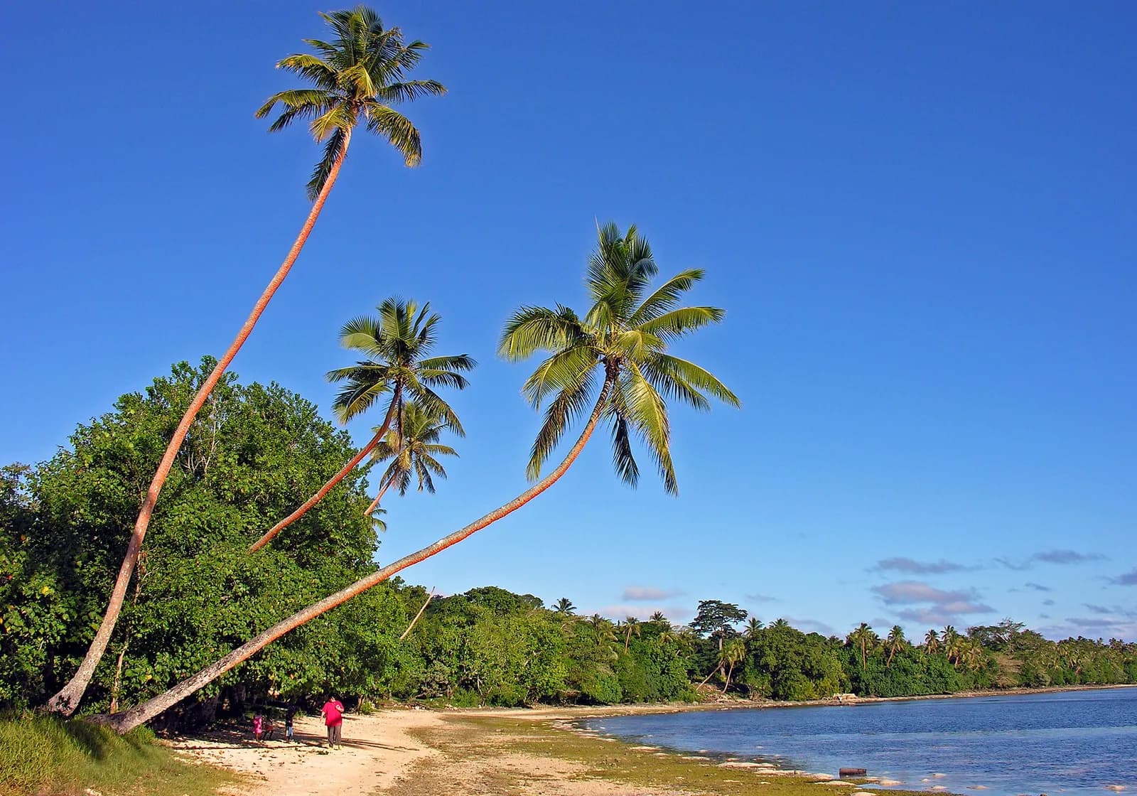Vanuatuda Erakor sahilinin firuzəyi suları