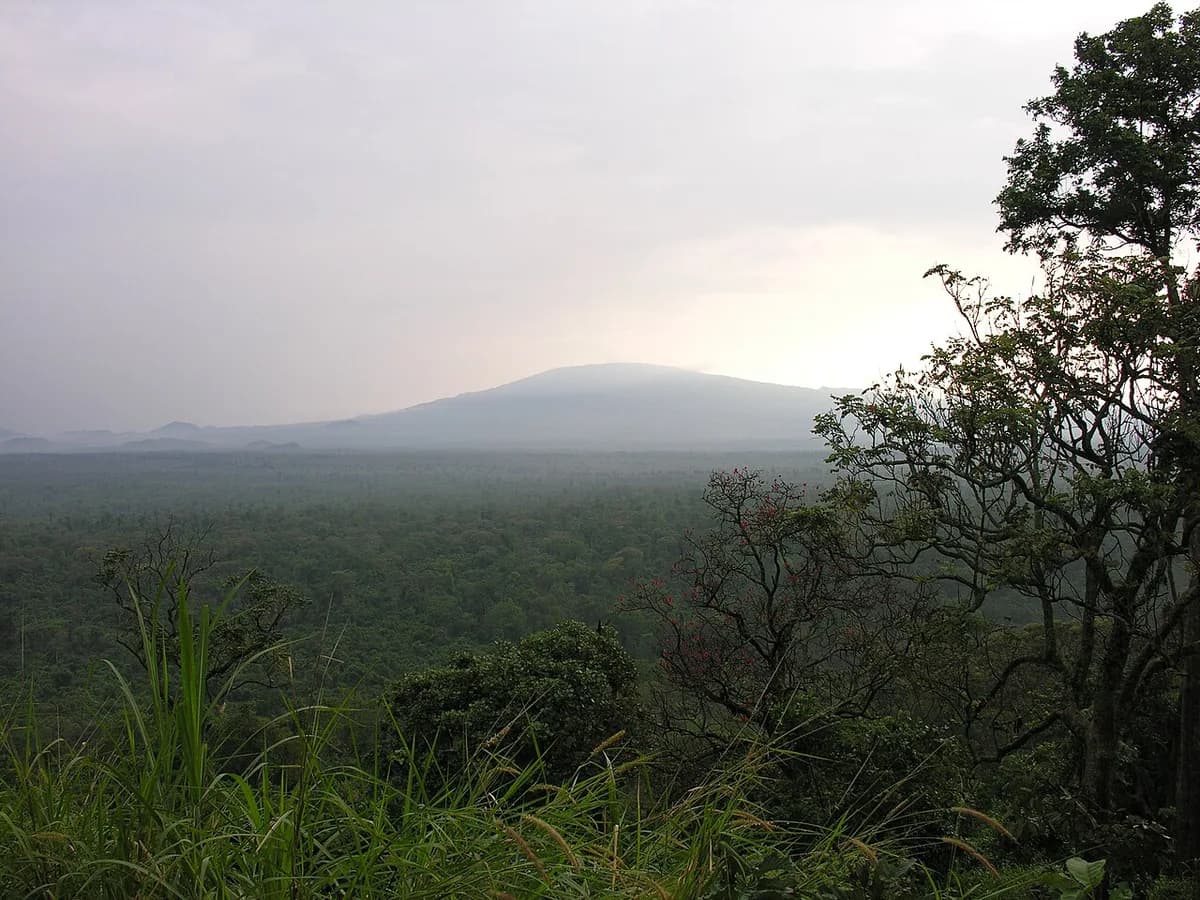 Virunga milli parkı və dağ mənzərəsi