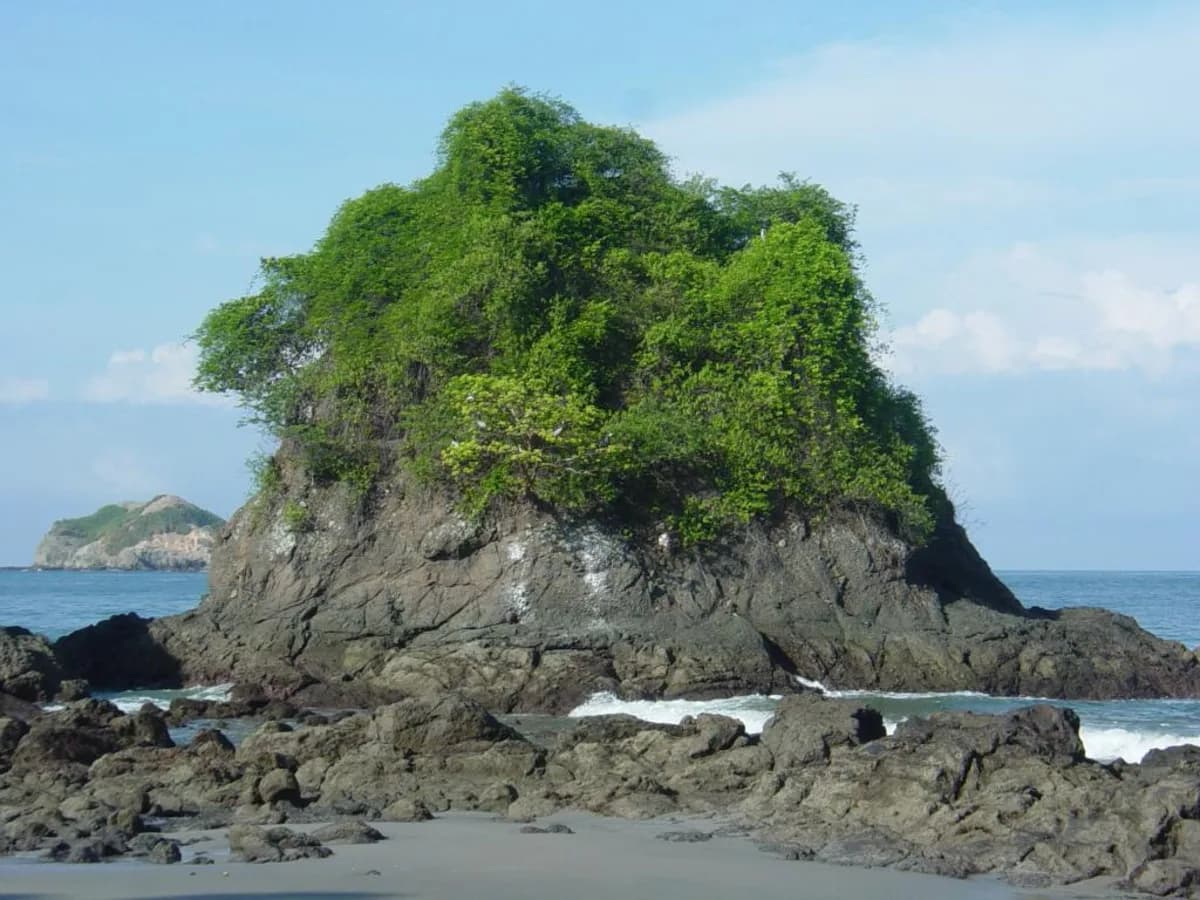 Manuel Antonio milli parkının sahili