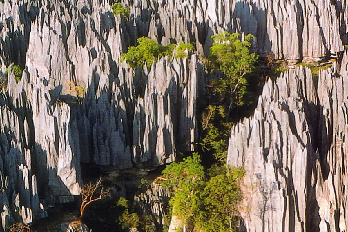 Tsingy de Bemaraha Milli Parkı