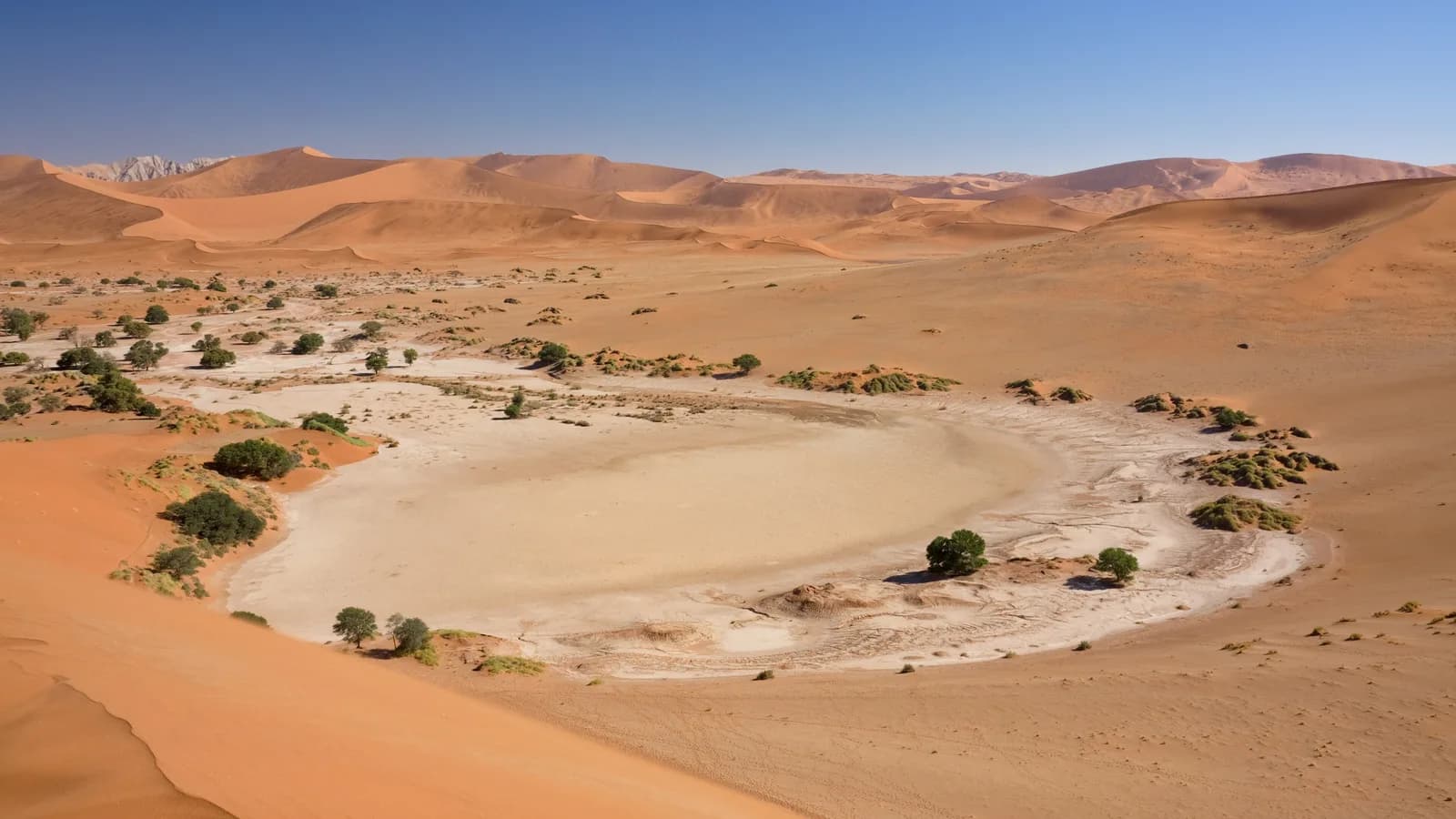 Namibiyada Sossusvlei qırmızı qum təpələri