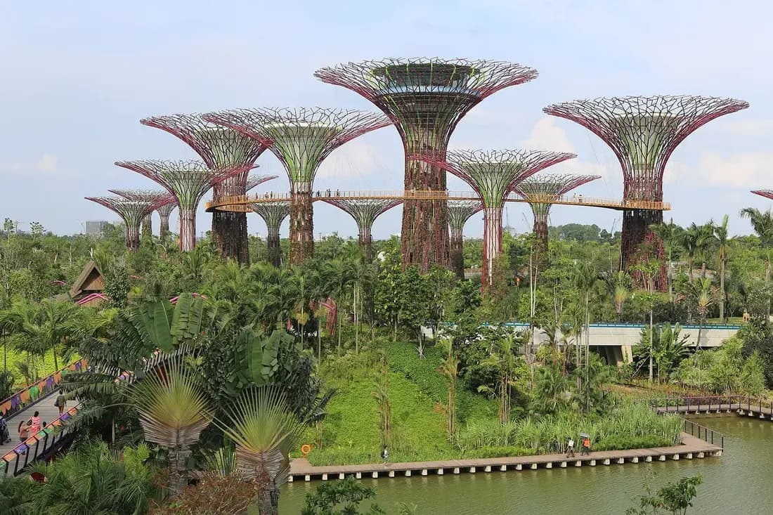 Sinqapurda Gardens by the Bay-də Supertree bağı