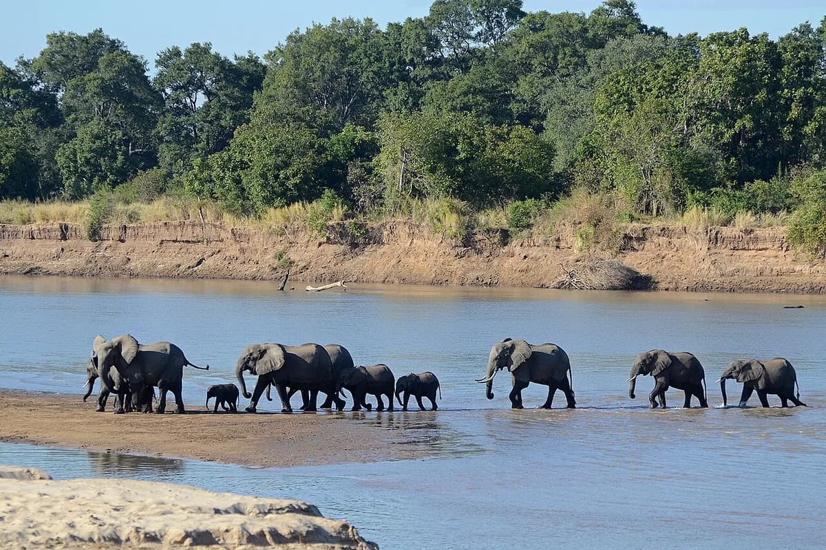 Cənubi Luangwa Milli Parkı